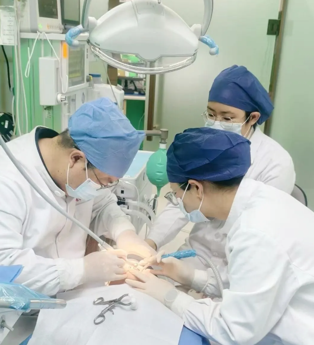 匠心护童牙 温情伴成长——儿童口腔中心守护孩子口腔健康(图3) 匠心护童牙 温情伴成长——儿童口腔中心守护孩子口腔健康(图3)