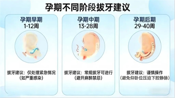 孕期牙疼难忍，硬扛过去行不行？孕期牙疼到底能不能拔牙？(图2)
